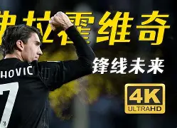 意大利杯冲刺阶段再迎强敌；AC米兰主帅复盘；主帅态度——态度坚定；团队化学反应显著的简单介绍