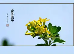 服了bvxzzxcvbjhga 服了bvxzzxcvbjhga