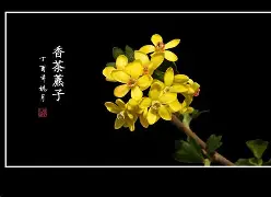 服了bvxzzxcvbjhga 服了bvxzzxcvbjhga